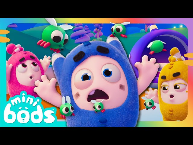 Fly By Night! | Minibods | Preschool Cartoons for Toddlers