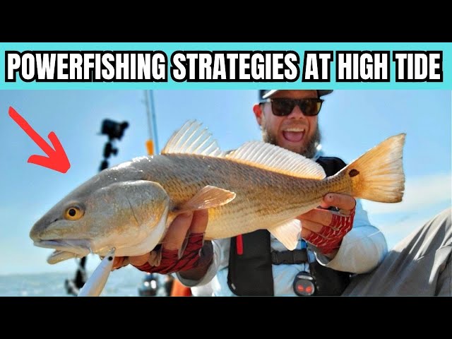 Powerfishing Grass Lines At High Tide [Strategies & What To Look For]