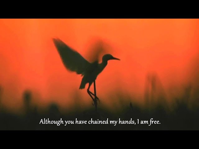 Yo-Yo Ma - Song of the Birds • Pablo Casals