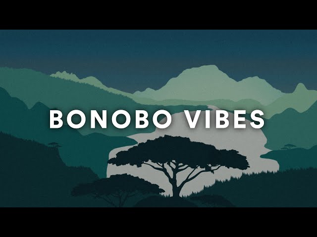 BONOBO VIBES | CHILL MIX | STUDY | RELAX