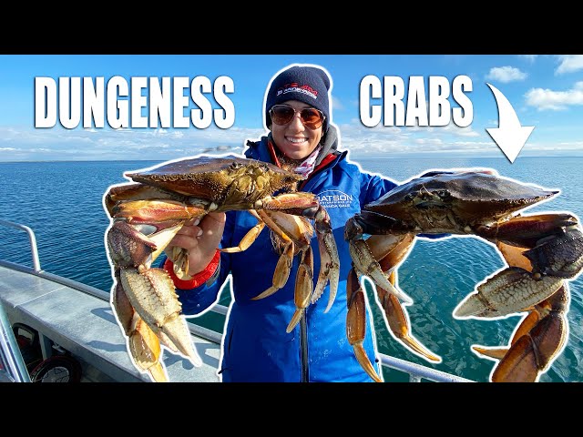 Catching DUNGENESS CRAB on the WORLD'S LONGEST Spit! Catch Clean Cook