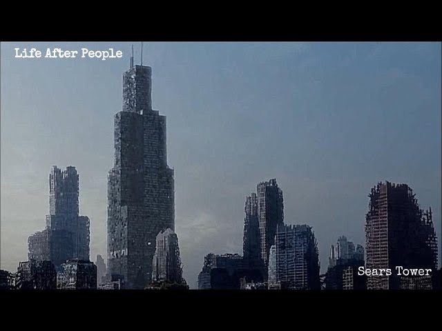 Life After People - Sears Tower
