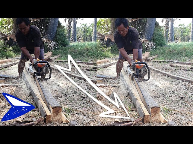 Machine STIHL Chainsaw Equipment VS Palm Tree