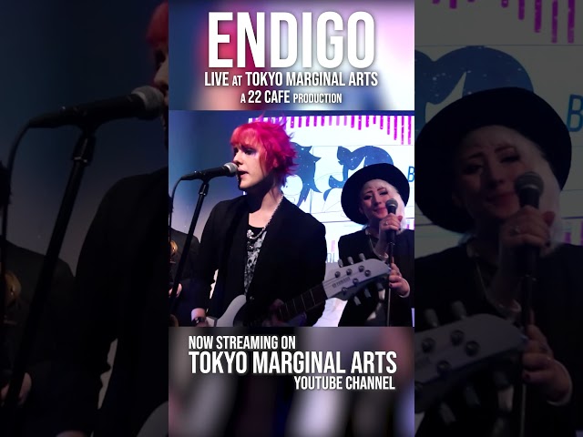 Endigo LIVE in Tokyo | FURRY, DanTDM Remixes, Big Chungus and more)