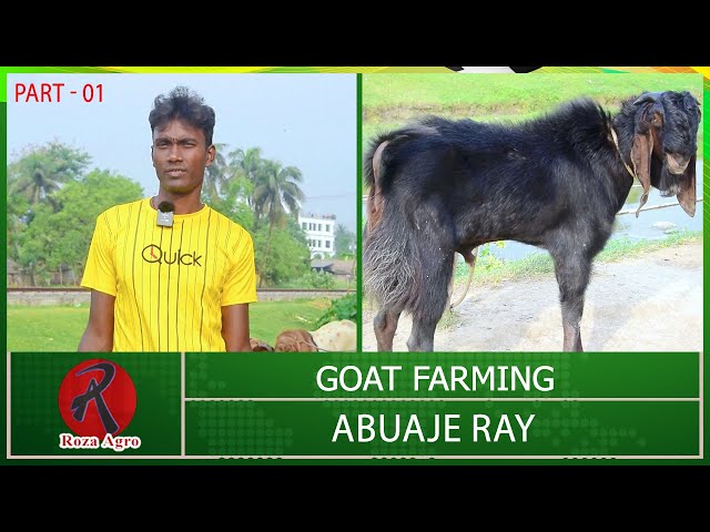 Goat Farming By Abuaje Ray - Part 01 | Goat Farming | Roza Agro Farm