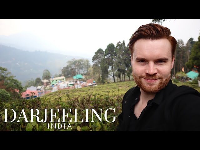 Why You should Visit Darjeeling, West Bengal (India) 🇮🇳