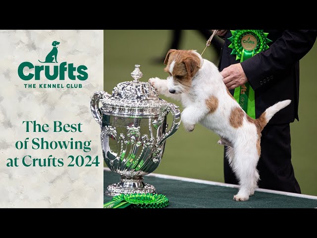 The VERY BEST of Showing | Crufts 2024