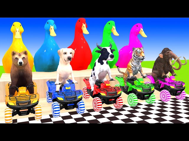 5 Giant Duck, Monkey, Piglet, Chicken, Dog, Cat, Cow, Sheep, Transfiguration funny animal 2023