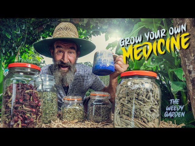 GROW YOUR OWN MEDICINE - 5 Medicinal Herbs you need to know