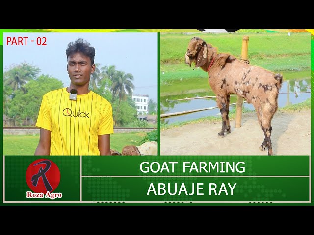 Goat Farming By Abuaje Ray - Part 02 | Goat Farming | Roza Agro Farm