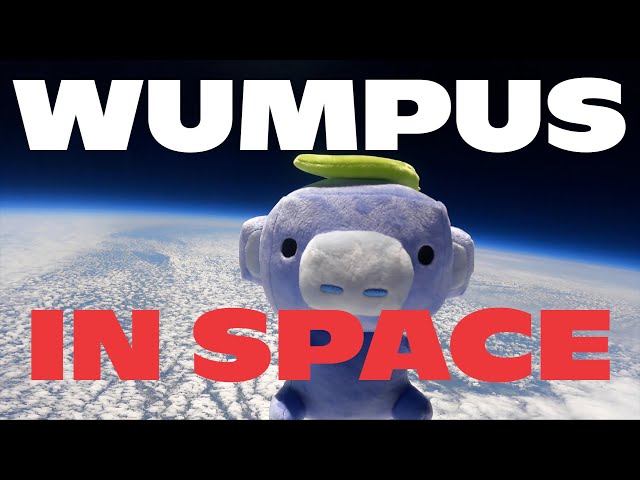 We Sent Wumpus Into Space