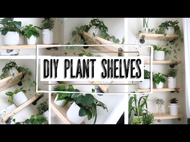 “How To” DIY plant shelves 🌿 || A girl with a garden