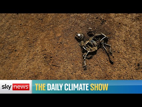 The Daily Climate Show: Famine warning in Africa