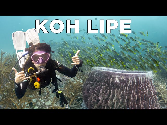 Scuba Diving in Koh Lipe: Thailand's Best Diving Spots