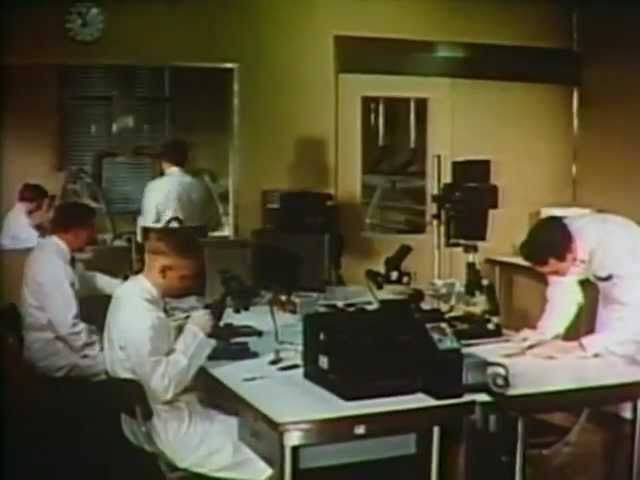 AT&T Archives: The Phone Boom of the 1950s