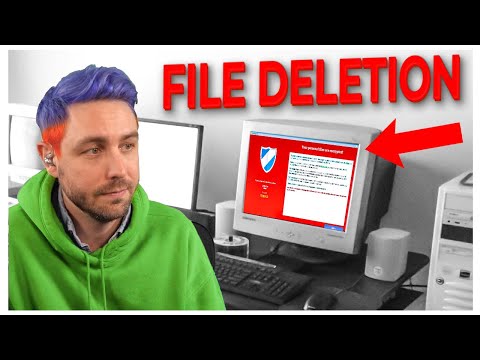 deleting IMPORTANT scammer files