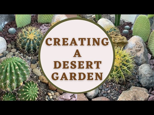 Creating a Desert Garden (Part1) | Cactus Garden | Desert Landscape