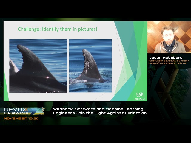 DevoxxUA 2021. Jason Holmberg. Wildbook: Software and Machine Learning Engineers Join the Fight...