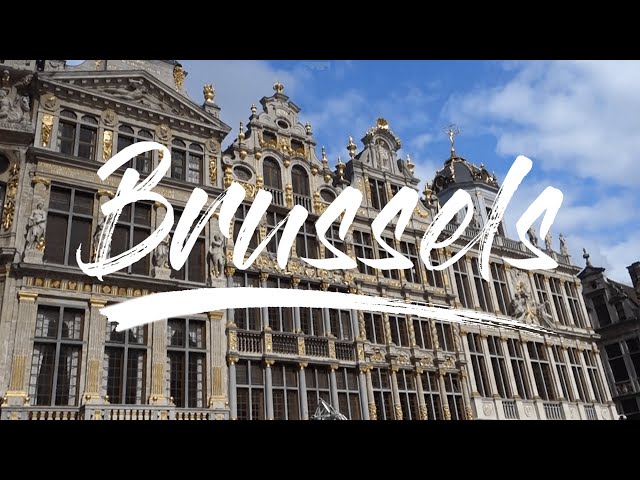 End of Conference and BRUSSELS: COSMO-19 Vlog Episode 4