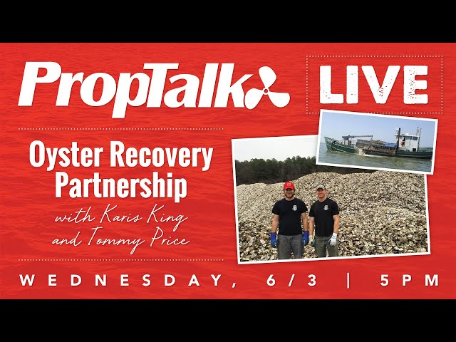A Discussion With Oyster Recovery Partnership On the Chesapeake Bay