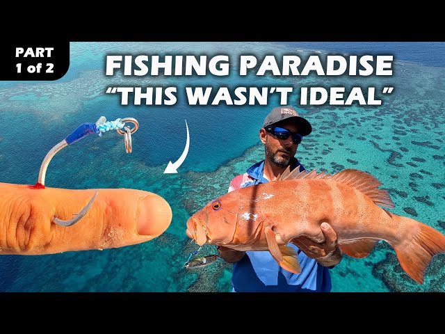 Epic fishing | Behind the scenes footage | Swains Reef