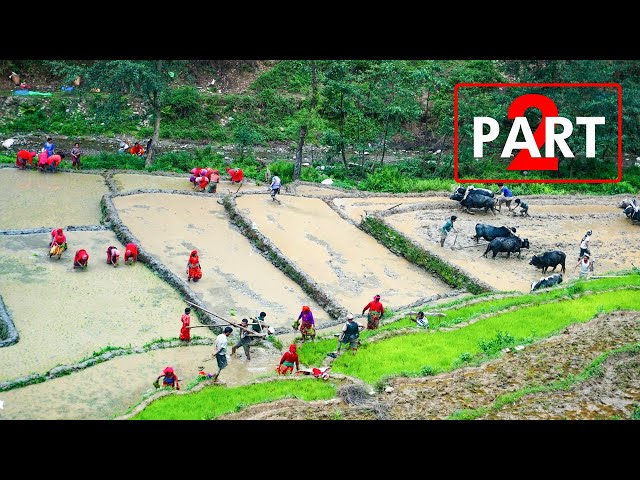 Unseen life in Rural Nepal | Traditional life in Western Nepal | Life in Village Nepal – Part 2 [4K]