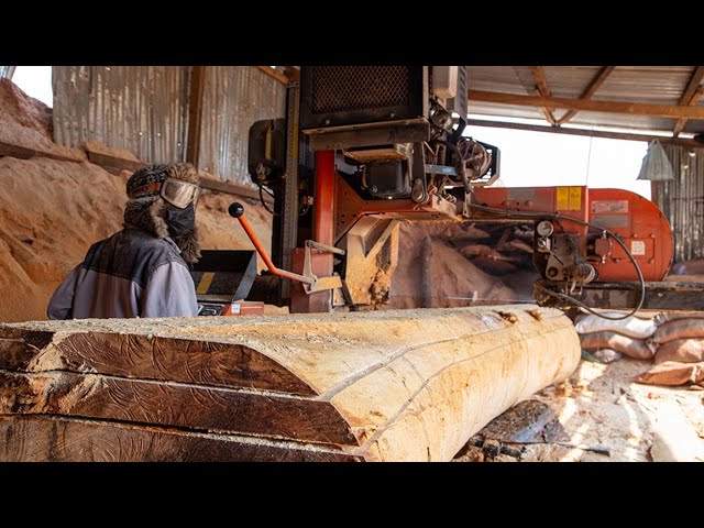 DRC sawmiller powers ahead with Wood-Mizer | Wood-Mizer