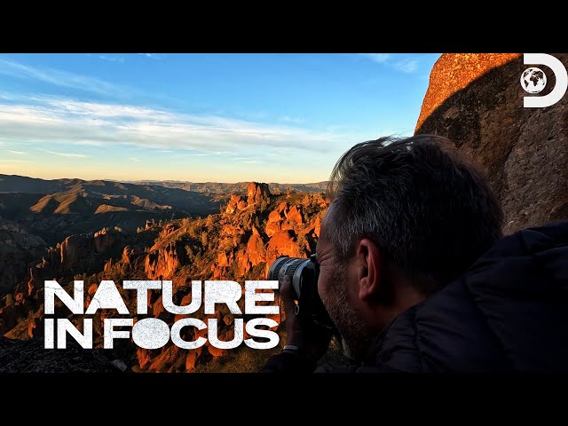 Uncovering Pinnacles National Park | Nature in Focus