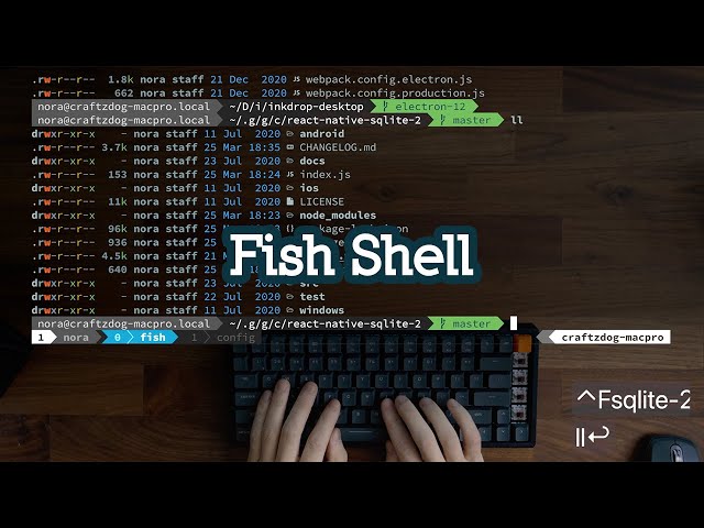 My Fish shell workflow for coding