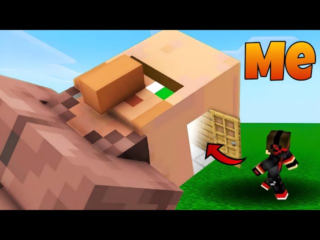 Minecraft , But I can go inside any Mob ... || ‎@Mc_flame 