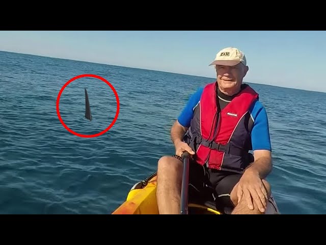 6 Shark Encounters That Will Haunt You (Part 2)