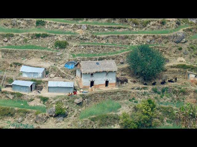 Surviving Life in the Nepali Mountains All Season Compilation Footages || IamSuman