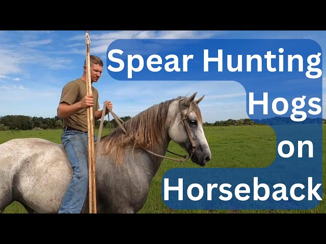 Spear Hunting Hogs on Horseback