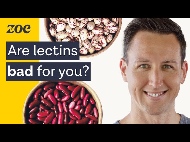 The surprising truth about lectins | Dr. Will Bulsiewicz