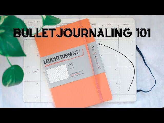Minimal Bullet Journal Setup | Easy + Practical for Beginners 🌿
