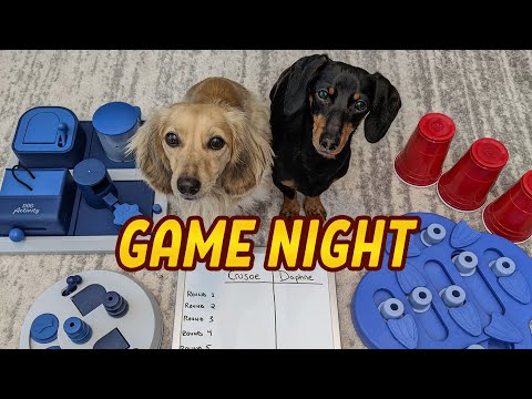 GAME NIGHT with Crusoe and Daphne (LIVE!)