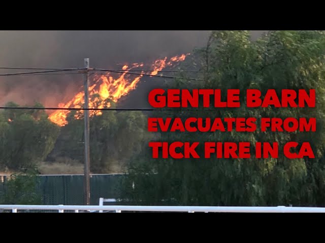 The Gentle Barn Fire Emergency
