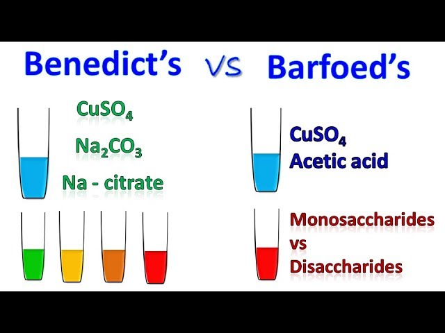 Difference between Barfoed and Benedict test