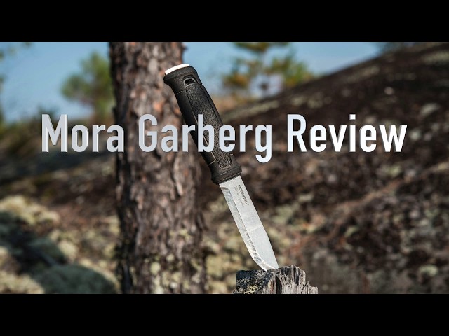 Mora Garberg Review: 18 Months of Professional Use