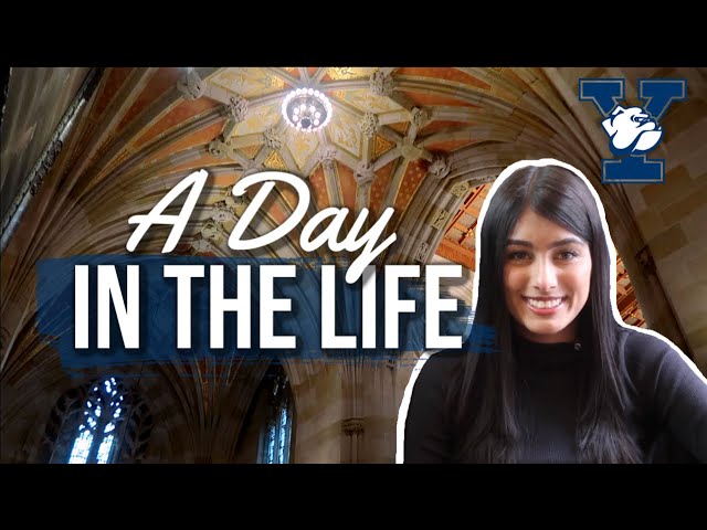 A Day In The Life Of A Yale Student | A Global Affairs and History Major