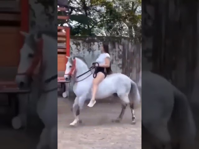 Kankrej Horse dance #shorts #video #Girl