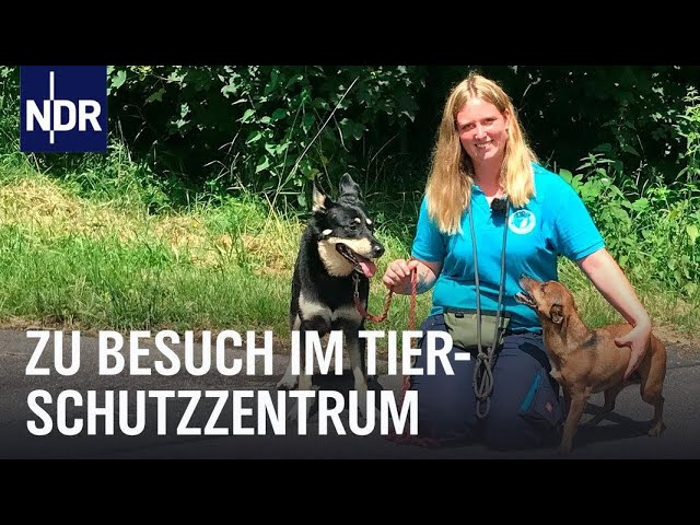 Tiere in Not! – Norddeutschlands größtes Tierschutzzentrum | Die Nordreportage | NDR Doku