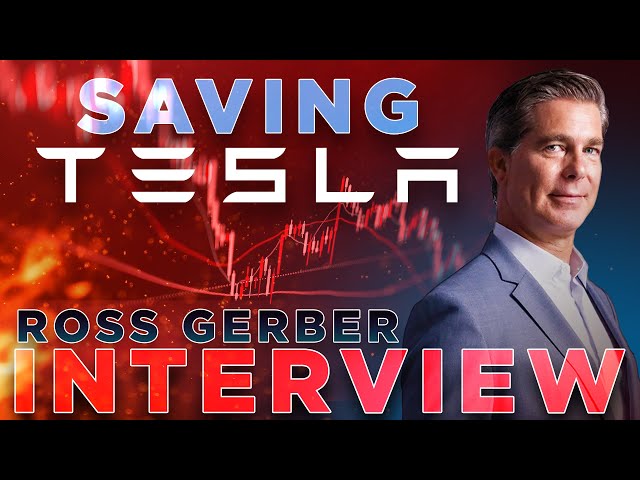 Saving Tesla's Stock & Brand w/ Ross Gerber