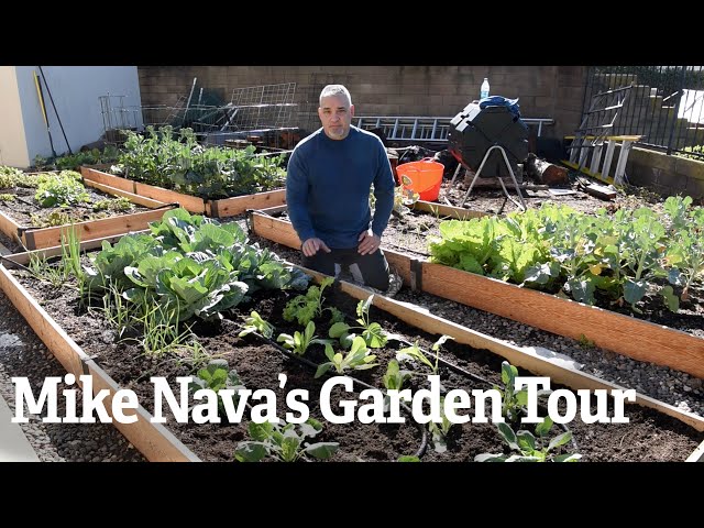 Mike Nava's Garden Tour