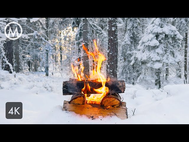 Forest Campfire Winter 🔥 Natural Ambience with Crackling Fireplace Sounds - 3 hours 4K