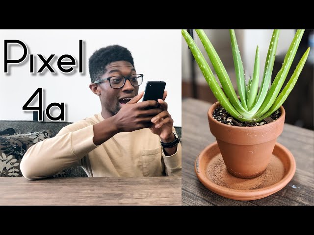 My First Pixel 4a Unboxing & Impressions | Honeymoon Phase