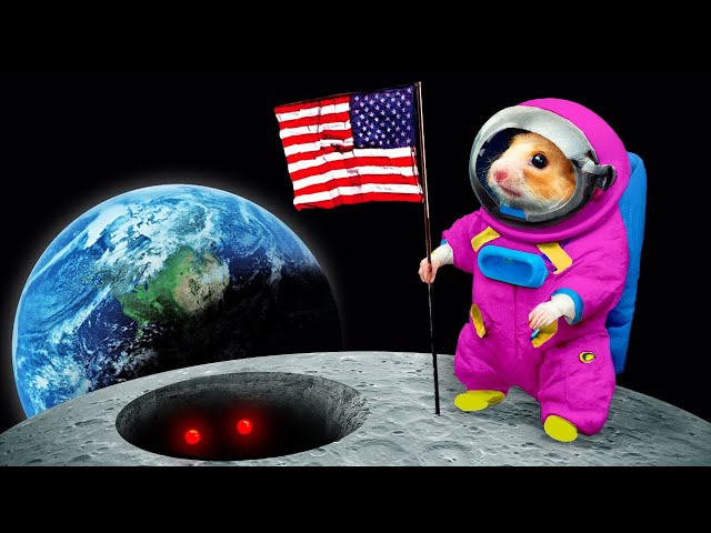 🐹 Hamster in the SPACE ☠️ DIY Hamster Maze with Traps [OBSTACLE COURSE]
