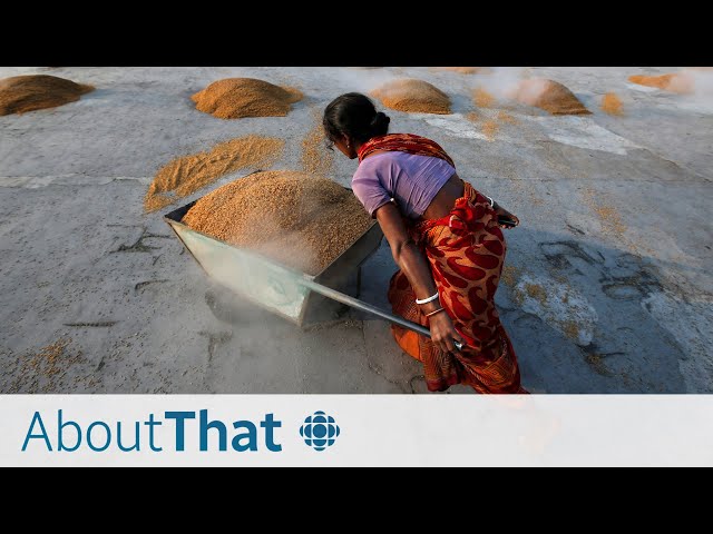 Why India's rice ban could cause a global food crisis | About That
