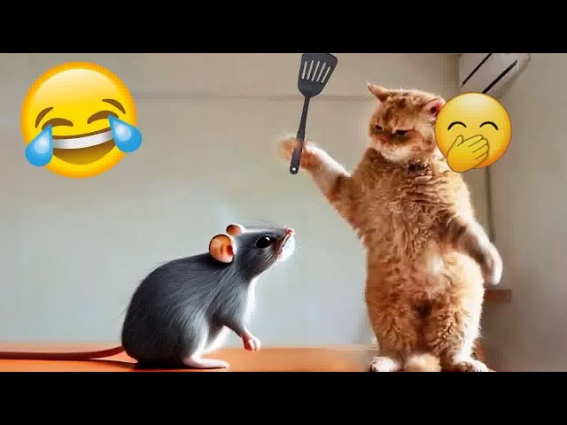 Try Not To Laugh😻🐕‍🦺Funniest Cats and Dogs 2024😹Part 12