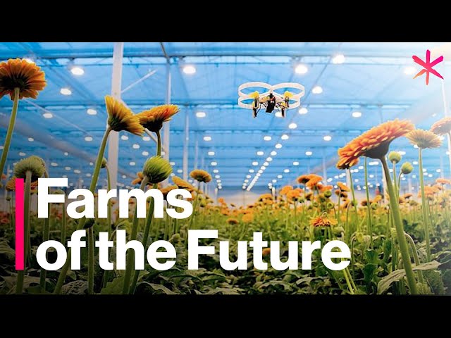 The Futuristic Farms That Will Feed the World | Freethink | Future of Food